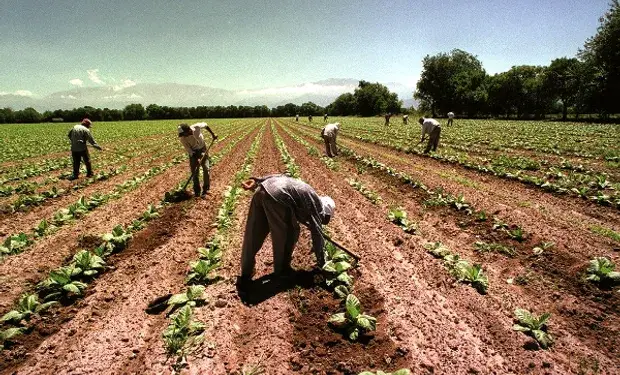 Salario de trabajadores rurales: oficializan nuevas subas y el básico superará los 0.000 en octubre