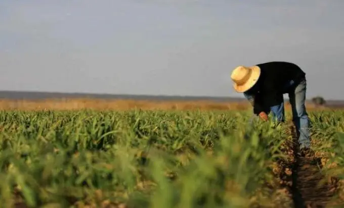 Trabajadores rurales cobrarán un bono de .000: para quiénes es el beneficio