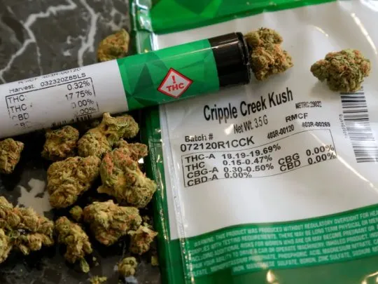 Organizaciones cuestionan la baja de los permisos del REPROCANN: «El autocultivo va en contra del narcotráfico»