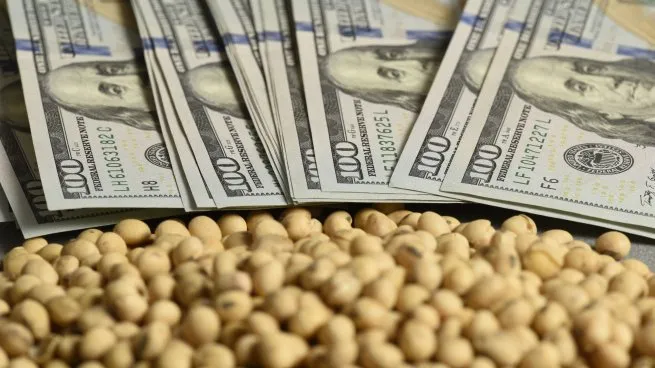 La reprimarización llega a la soja y hay alerta en las economías regionales por las importaciones y el empleo