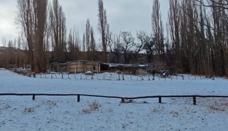 Intenso temporal de nieve en Calingasta provoca cortes de luz y despliegue de operativos de emergencia