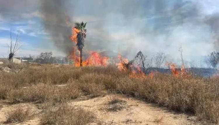 Bomberos y equipos de emergencia combatieron más de 50 focos de incendio y destrozos en la provincia