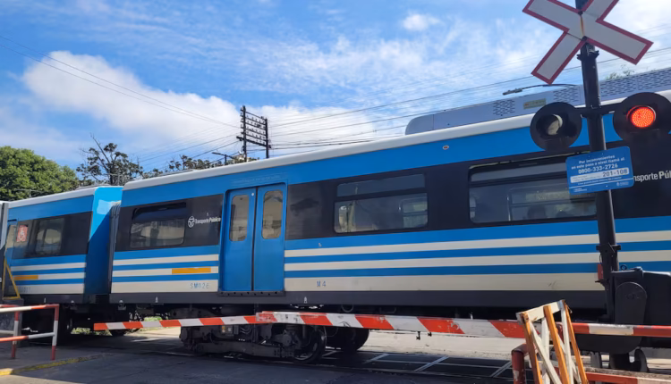 Un tren del ferrocarril Sarmiento arrolló a una mujer en Liniers