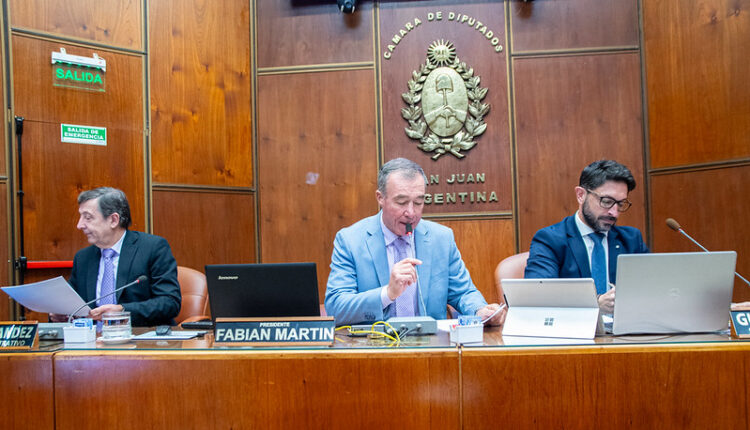 La Legislatura sancionó la Campaña Provincial de Concientización sobre Sífilis