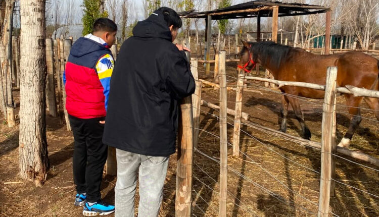 Proyecto Juan y el Centro de Día de Chimbas: hacen tareas de campo para la recuperación de las personas que reciben tratamiento