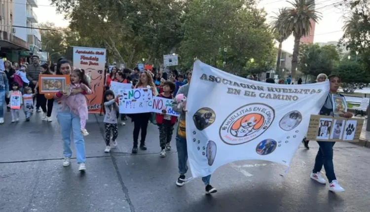 San Juan se suma a la marcha nacional para exigir penas más duras contra el maltrato animal