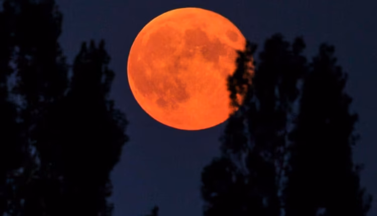 Eclipse lunar: cuándo y dónde podrá verse en Argentina