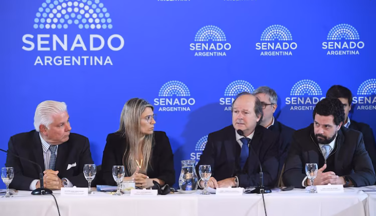 El Gobierno busca blindar el Súper RIGI: el secretario de Hacienda irá al Senado por pedido de la oposición