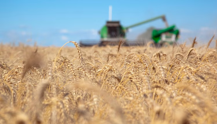 Las cadenas agroindustriales aportaron casi USD 32.000 millones en lo que va de 2026