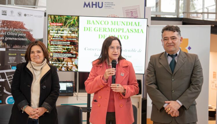 Banco Mundial de Germoplasma: un proyecto sanjuanino clave para el desarrollo olivícola en América