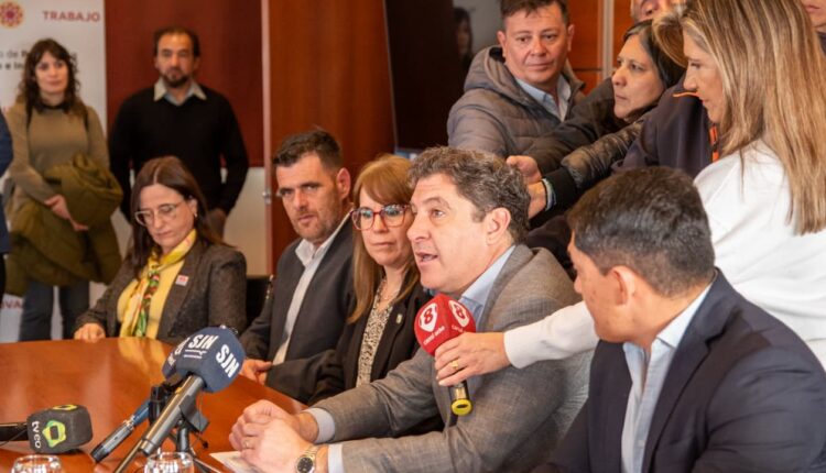 San Juan será sede del XV Encuentro Olivícola Internacional Argoliva 2026