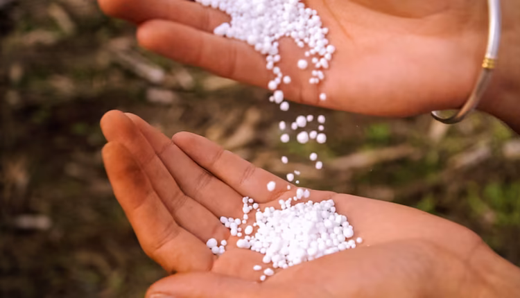 La guerra en el Golfo y el precio de los fertilizantes: cuánto le costó el aumento al campo argentino