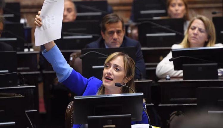 Fernández Sagasti pidió cambiar el reglamento del Senado para habilitar el voto remoto de legisladoras embarazadas