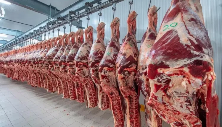 Estados Unidos retiró casi 13.600 kilos de carne argentina: qué ocurrió y cuáles son los cortes afectados