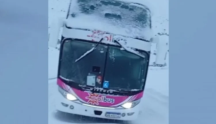 Varados en la cordillera: un choque múltiple y un fuerte temporal aislaron a 90 turistas sanjuaninos en Mendoza
