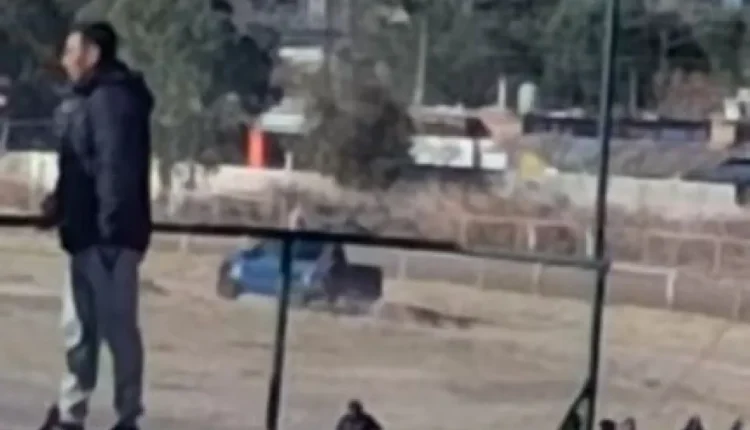 Conmoción en el Jockey Club: un caballo sufrió una severa lesión durante una carrera y fue arrastrado por una camioneta