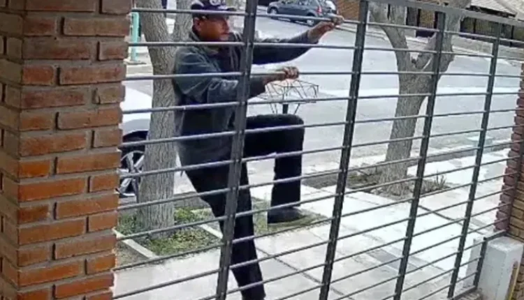 Inseguridad a plena luz del día en Rivadavia: filmaron a un ladrón a cara descubierta robando en una casa