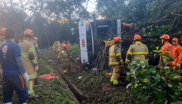 Tragedia en Brasil: volcó un micro y murieron diez pasajeros