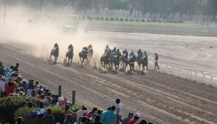 El Clásico Sarmiento prepara una largada récord con 14 caballos y figuras de todo el país