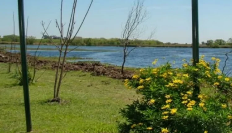 San Vicente: detienen in fraganti a un joven de 29 años acusado de abusar de perros en la vía pública