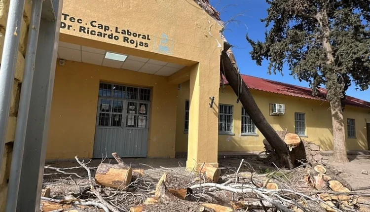 Un árbol cayó sobre la Escuela Comandante Cabot y causó daños edilicios