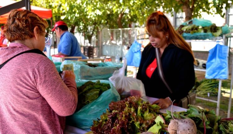 Se realizará una nueva edición de la Feria Agroproductiva de San Juan