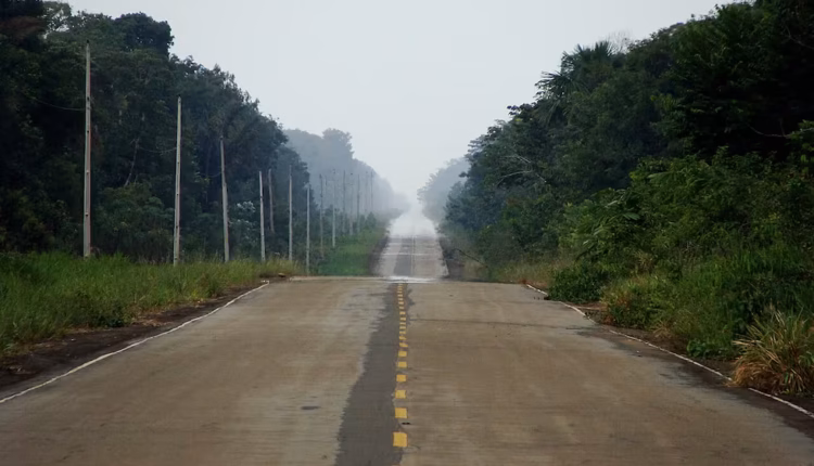 Brasil creó cuatro áreas protegidas para mitigar el impacto de la ruta que atraviesa la Amazonía