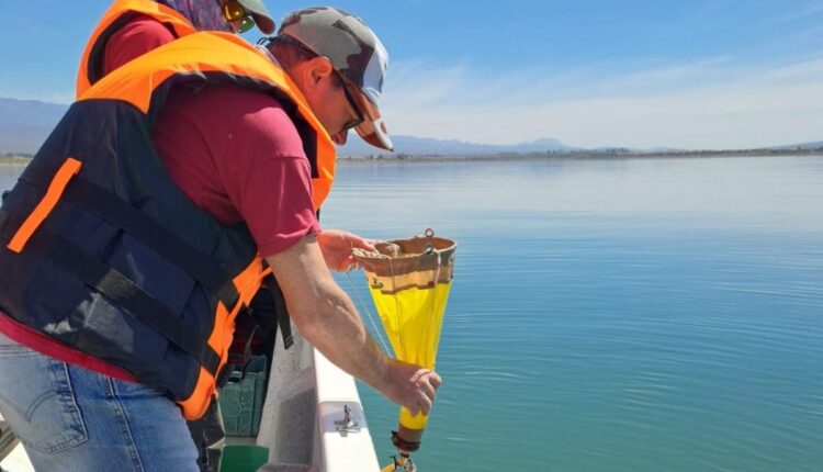 Especialistas estudian los ecosistemas y recursos pesqueros de los embalses Punta Negra, Caracoles y Ullum