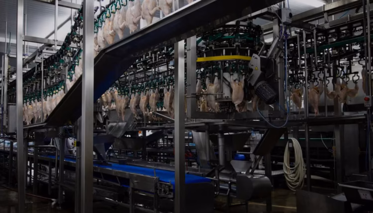 Se agrava la crisis de Granja Tres Arroyos: ofreció pagar parte de los salarios con pollos