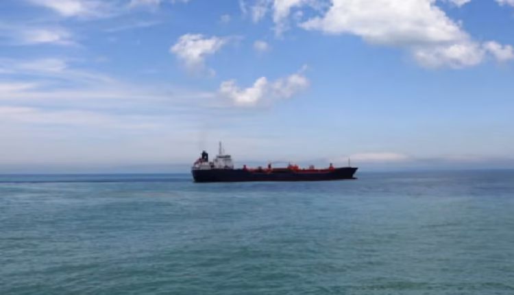 Malvinas: la industria pesquera pide al Gobierno limitar las licencias británicas de pesca, igual que las concesiones petroleras