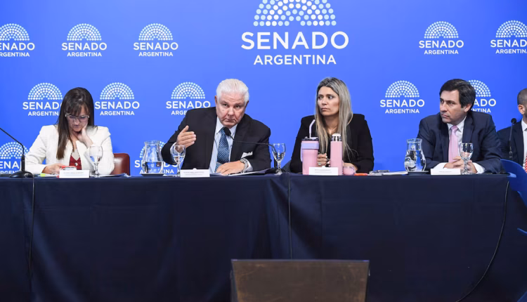 Senado: aliados de la UCR, el PRO y el PJ disidente frenaron el dictamen del Súper RIGI