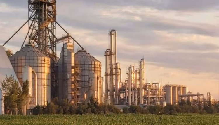 Después de años de debate, el Senado consensuó avanzar en una suba del corte de biocombustible