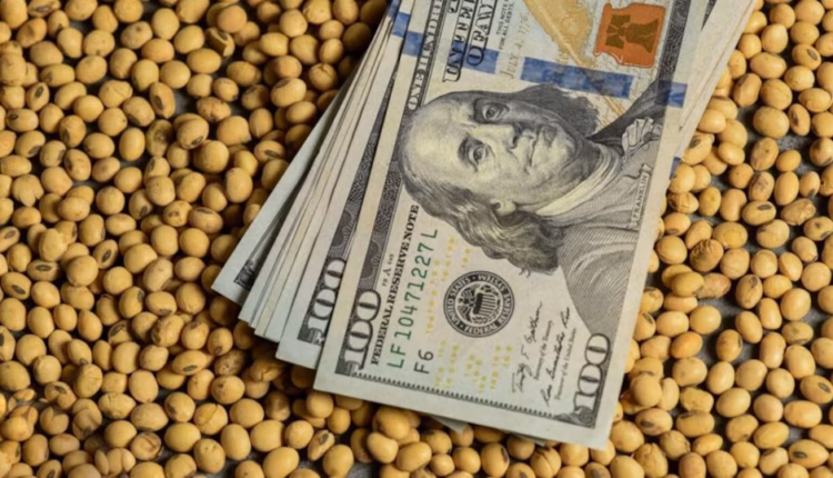 El campo acelera: récords de exportaciones, más molienda y USD 19.000 millones de liquidación en lo que va del año