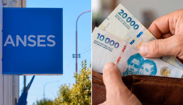 Quiénes pueden pedir la ayuda económica de la Anses para personas sin trabajo y cómo realizar el trámite