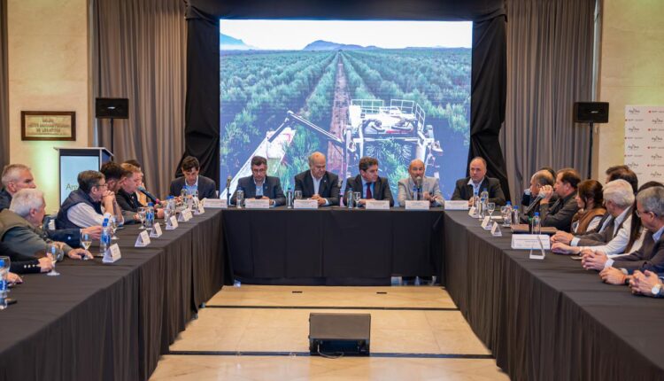 San Juan fue sede de una nueva Mesa Olivícola Nacional, en el marco de ArgOliva 2026