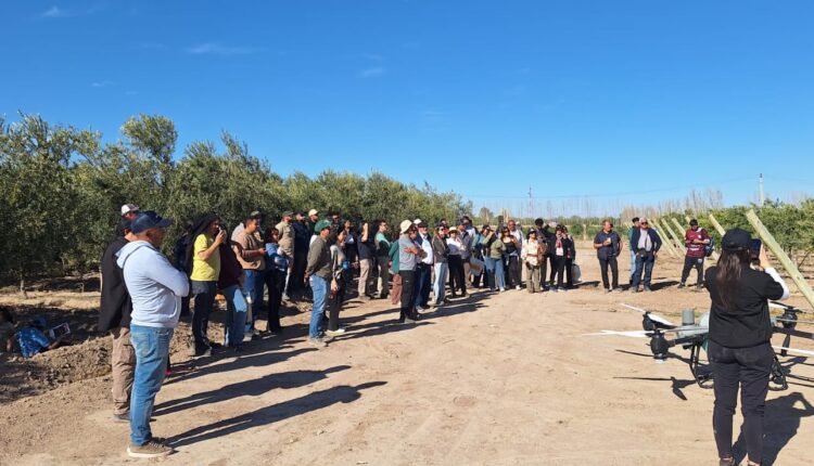 100 empresas de distintas provincias se sumaron a la Jornada a Campo de ArgOliva