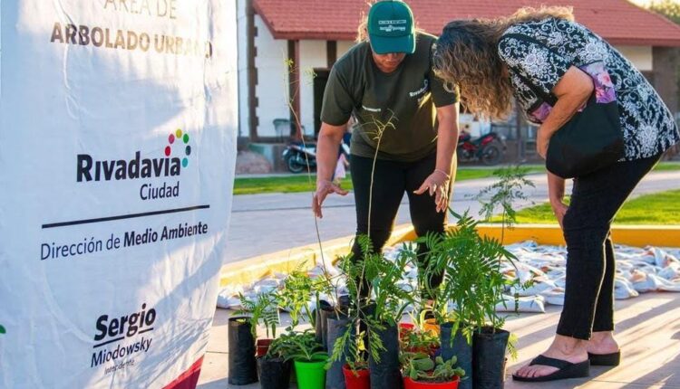 Rivadavia suma verde y conciencia ambiental en una masiva jornada de Eco Canje