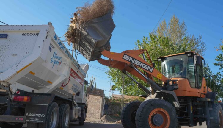 Operativo preventivo en Chimbas: desmalezan y limpian canales en El Mogote Viejo para evitar anegamientos