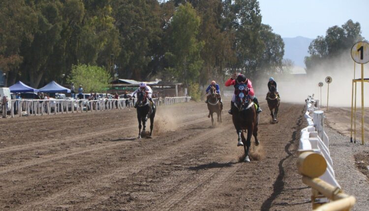 La edición número 73 del Clásico Sarmiento tendrá una largada récord con 14 caballos