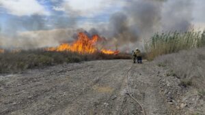 Máxima precaución en Médano de Oro: combaten focos de incendio y piden no encender fuego ante el Zonda