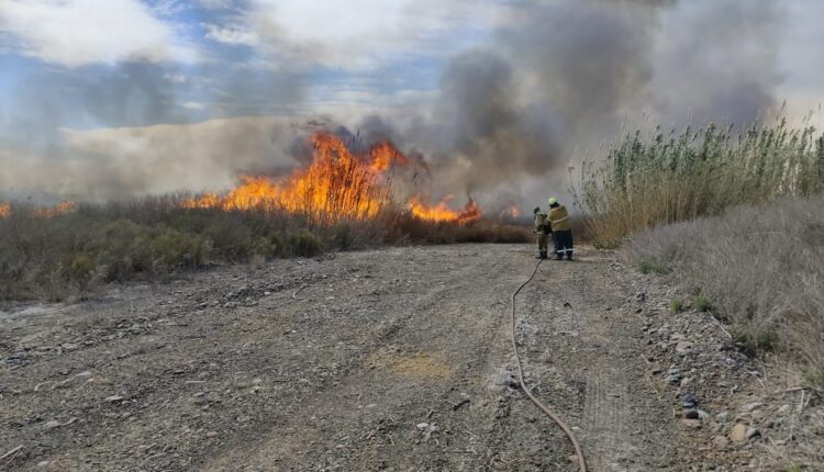 Máxima precaución en Médano de Oro: combaten focos de incendio y piden no encender fuego ante el Zonda