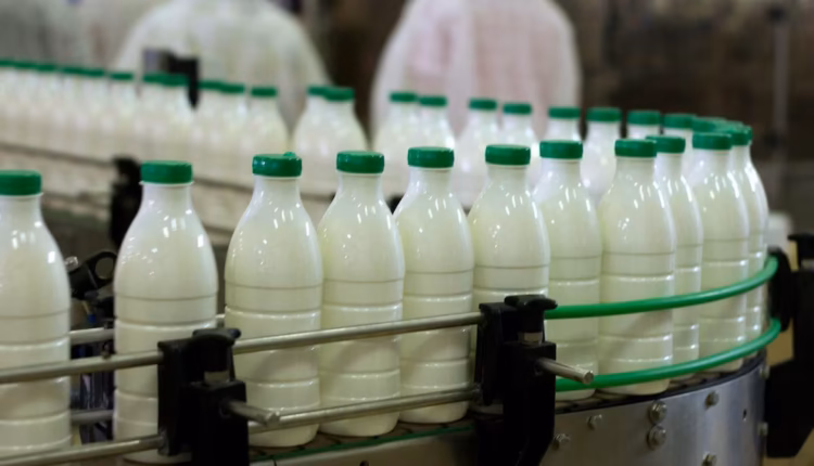 Las exportaciones lácteas marcaron un nivel récord de casi USD 1.000 millones en los primeros siete meses del año