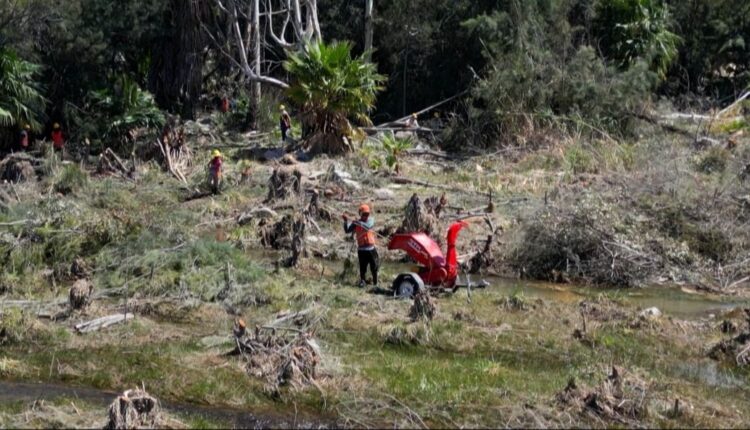 Hidráulica tala árboles en el cauce del río San Juan para evitar desbordes ante los próximos deshielos