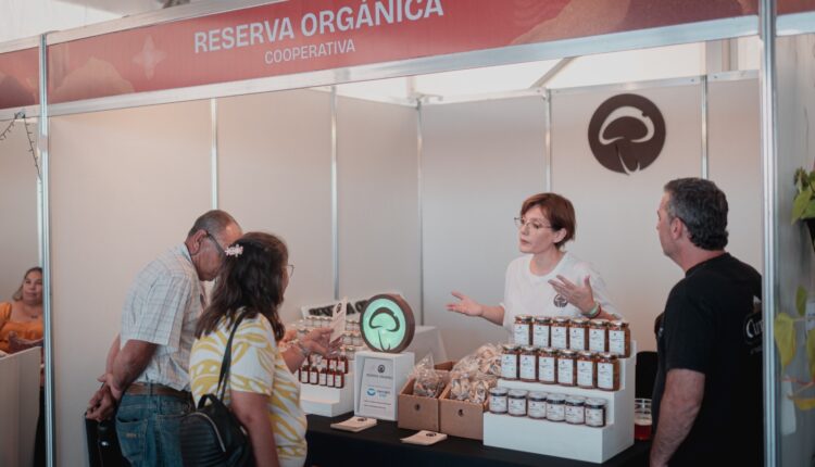 Emprendedores, artesanos, cooperativas, ONG e instituciones podrán postularse para la FNS