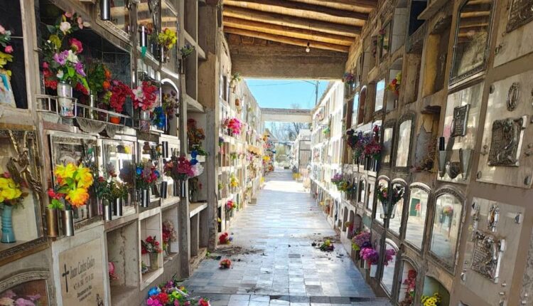 Saqueo impiadoso en Jáchal: profanaron unas 40 tumbas y se llevaron hasta las manijas de los ataúdes