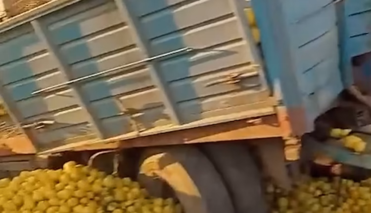 Violento choque entre un tren y un camión que transportaba limones en Tucumán