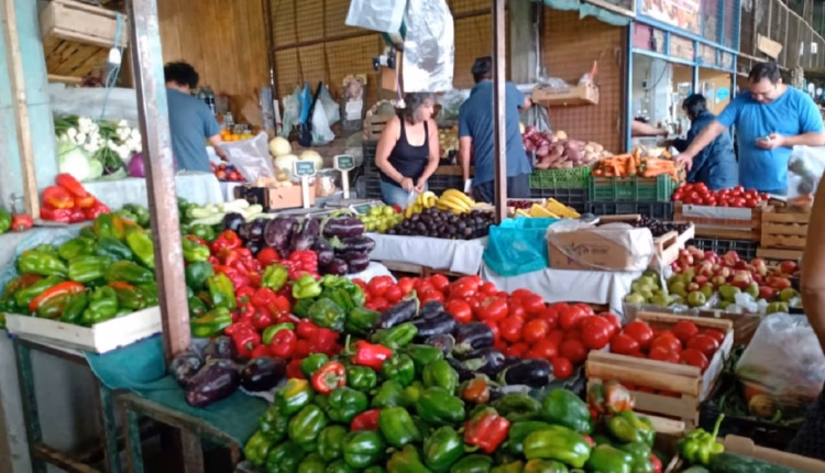 La Feria y Mercado de Abasto de la Ciudad cambia su horario de atención