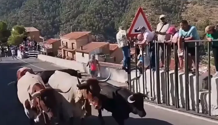 Tragedia en España: una mujer murió tras ser embestida por un toro durante un encierro