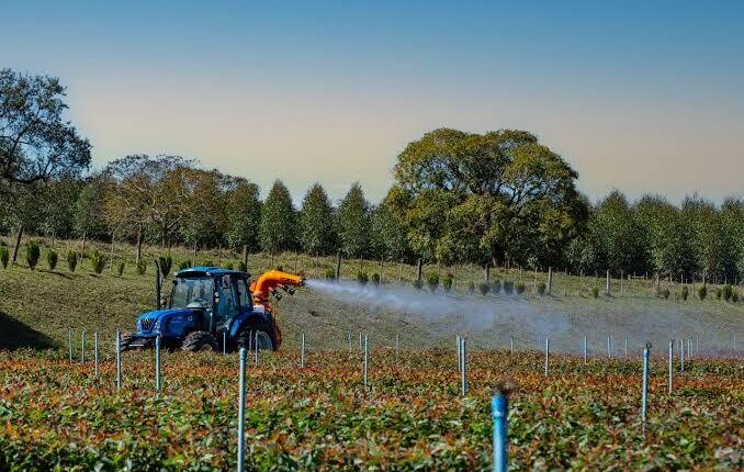 El sector agroindustrial exportará este año USD 42.000 millones, el mayor aporte anual de divisas de la historia