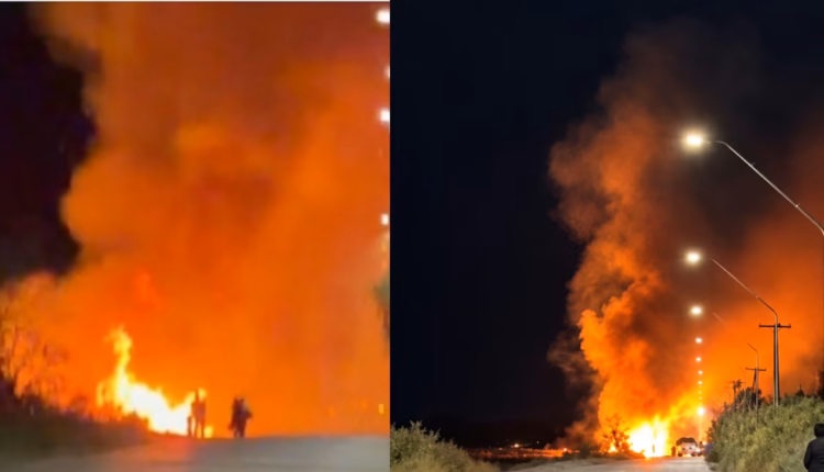 Alarma en Caucete: un voraz incendio movilizó a los bomberos en plena madrugada de viento Zonda